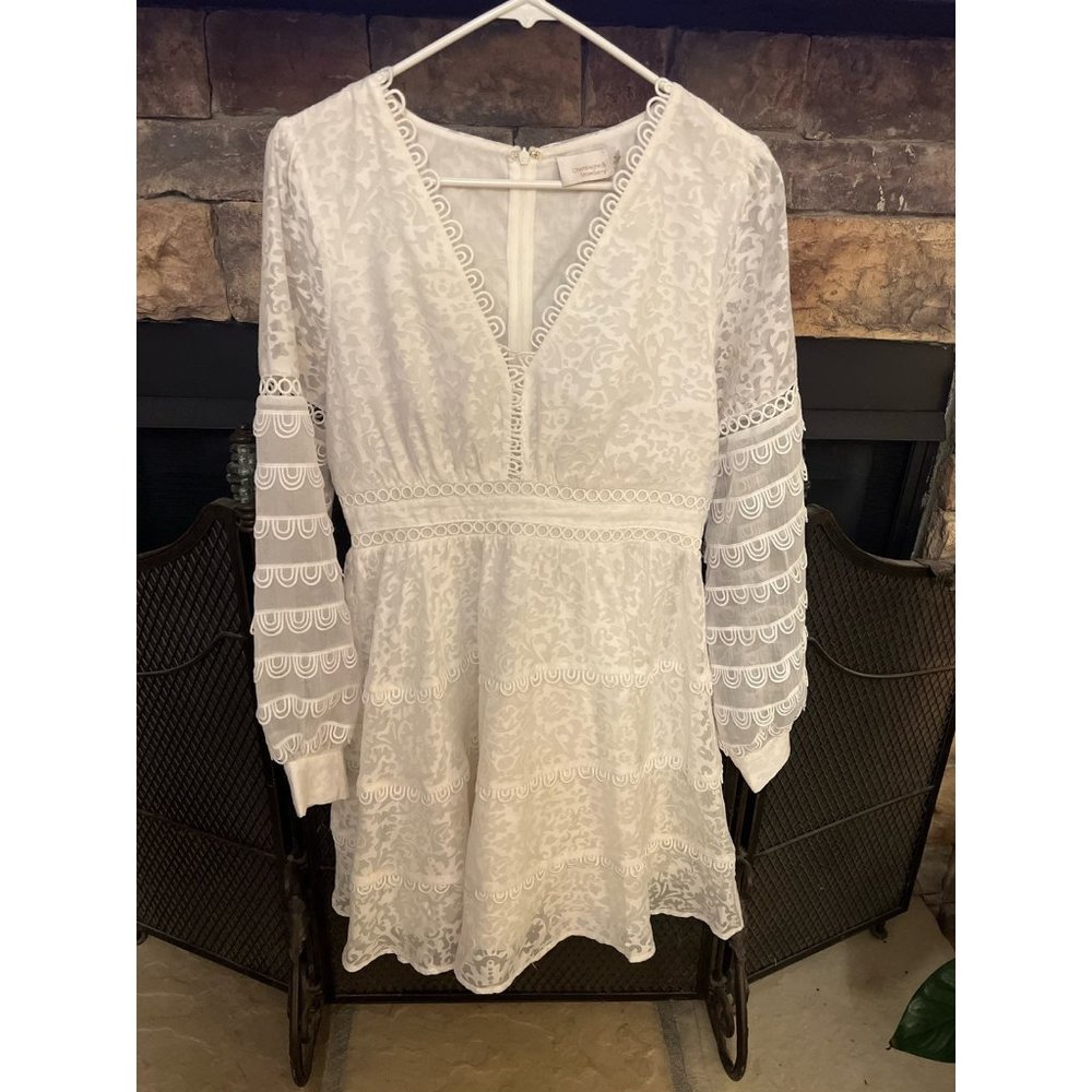 Champagne & Strawberry Dress